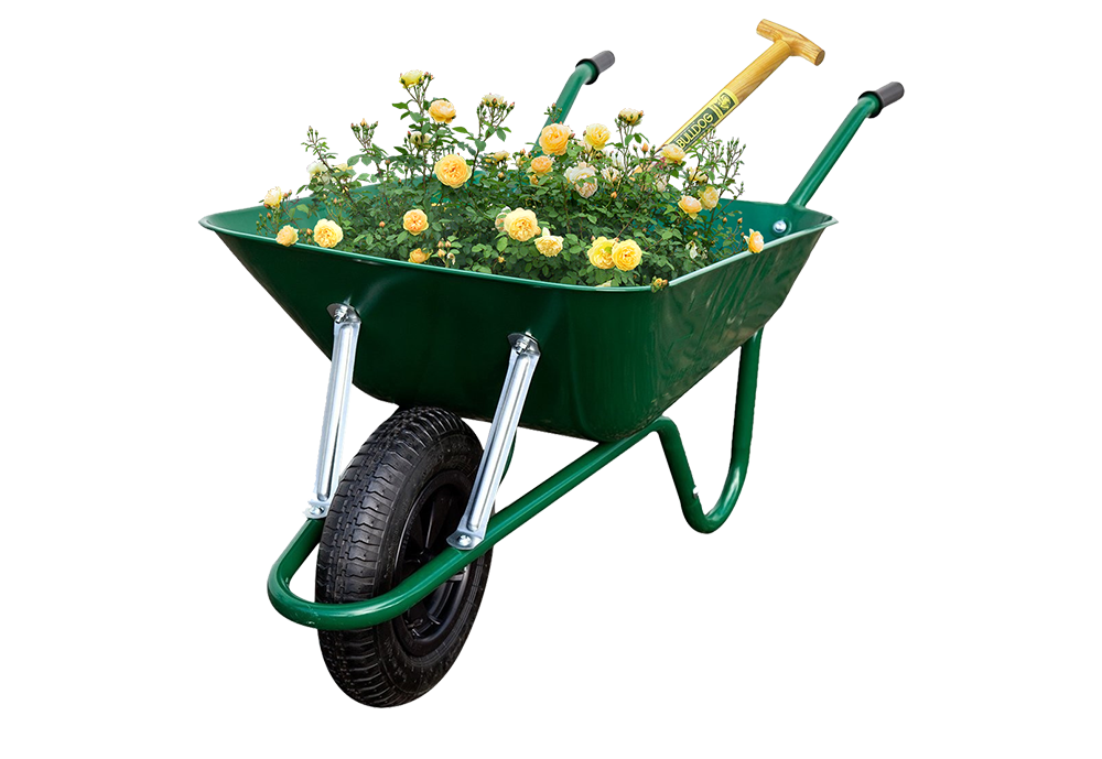 barrow barrow with shrub